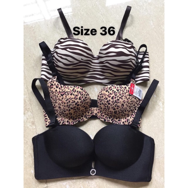 Áo su đúc ko gọng