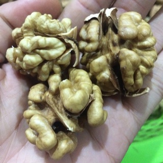 Quả óc chó