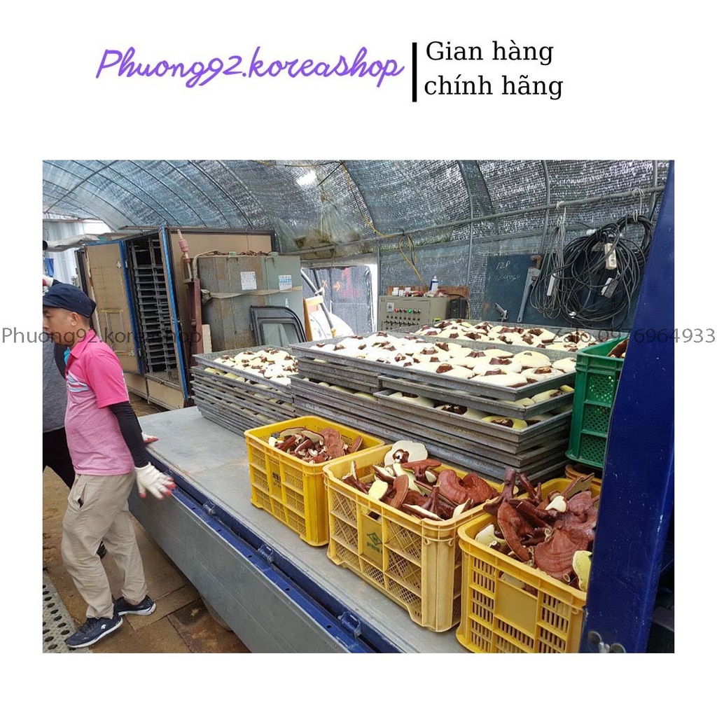 (Hàng chuẩn) Nấm linh chi Kana lá vừa  nội địa Hàn quốc 1Kg | BigBuy360 - bigbuy360.vn