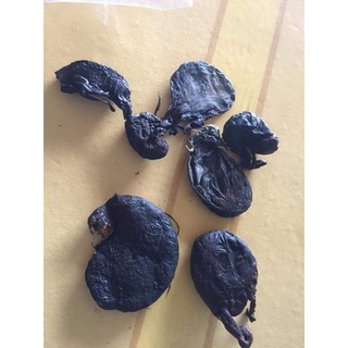 Bao tử nhím rừng (1 cái)