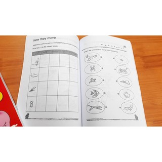 Combo 300 KINDERGARTEN MATH TIẾNG ANH