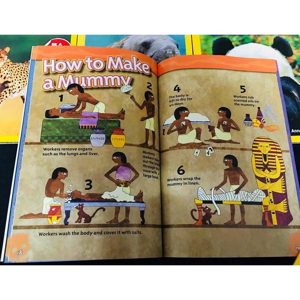 Bộ nhập - National Geographic Kids (Level 2 - 36 Quyển)