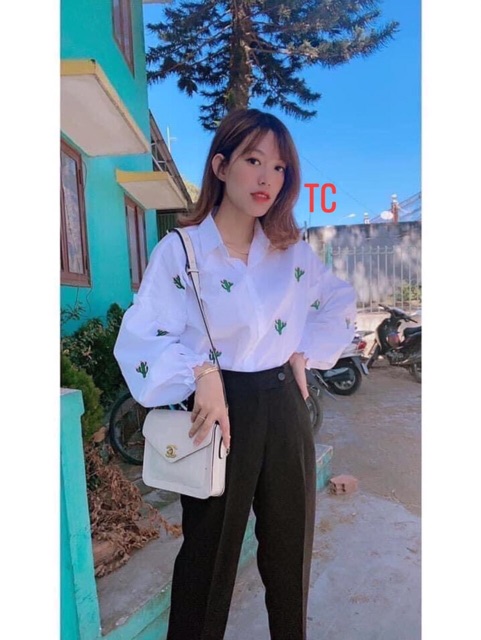 Áo sơmi xương rồng