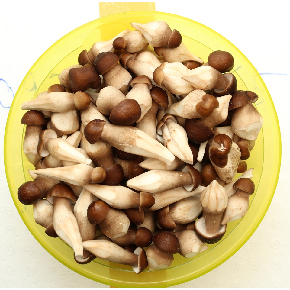 Nấm mối đen tươi Loại 1