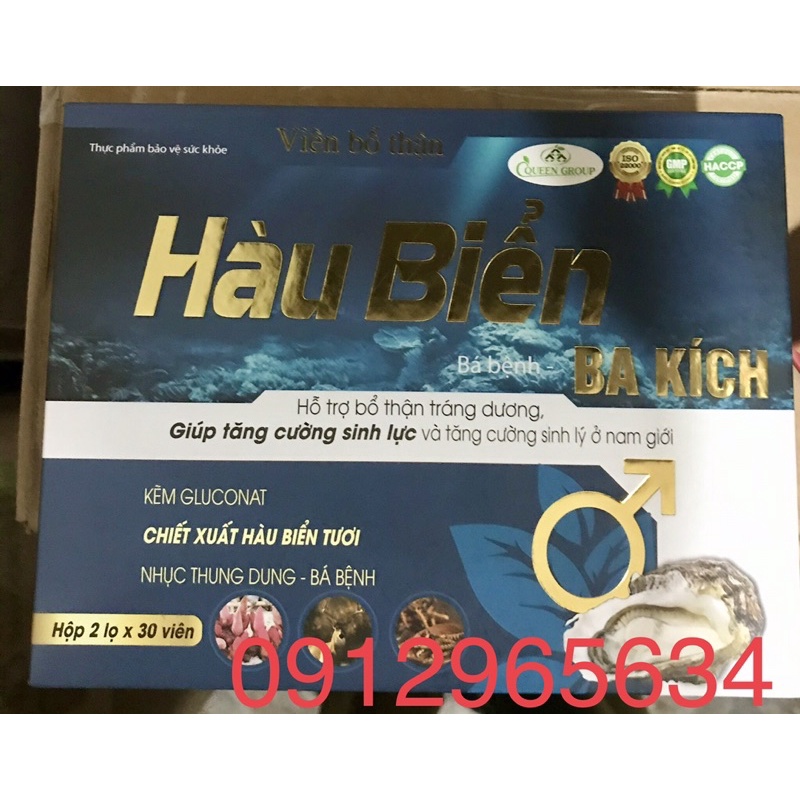 Viên bổ thận Hàu biển chiết xuất hàu biển tươi bồi dưỡng sức khoẻ tăng sinh lực