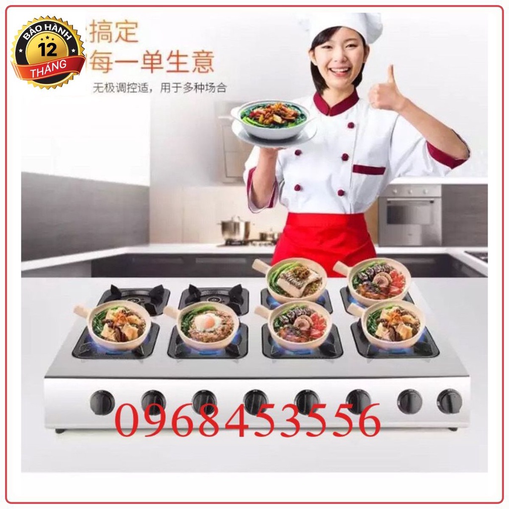 Bếp ga 4-6-8 cửa, bếp gas 4-6-8 lò, bếp ga 4-6-8 cửa