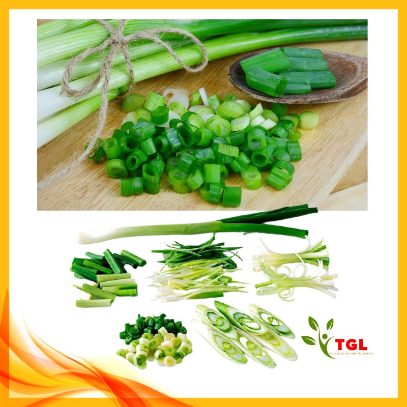 Hạt Giống Hành Hương Kinh Bắc PD 119 Phú Điền, Hạt giống rau củ quả chất lượng - Gói 2gr