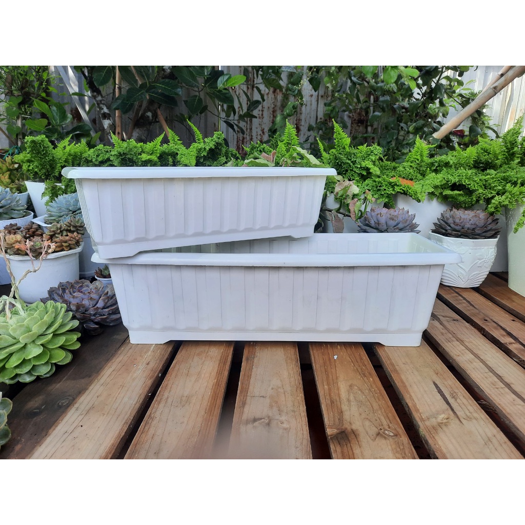 Chậu nhựa dài, chậu nuôi cá, khay chữ nhật trồng rau thông minh, chậu treo ban công