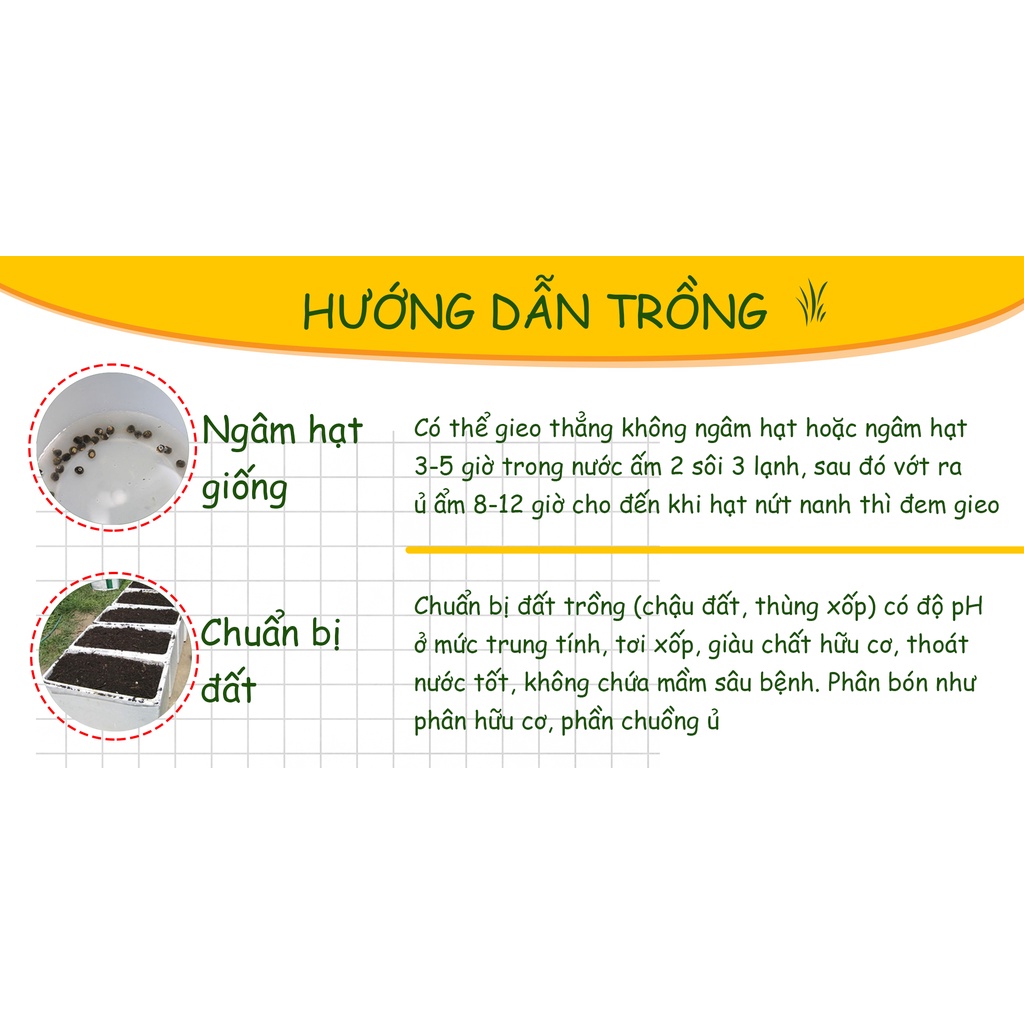 Hạt giống Xà Lách Tím Năng Suất Cao ( Gói 1 Gram ) - Nông Sản Vàng