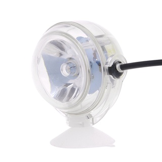 Đèn LED chiếu điểm đặt dưới nước chuẩn phích cắm EU cho bể cá