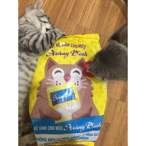 Cát mèo giá rẻ Hoàng Đình bao 5kg,cát vệ sinh cho mèo,cát mèo khử mùi