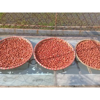 Nước Cốt Mơ 3 năm - Cốt mơ muối mặn Dưỡng Sinh - Dấm mơ - 500ml