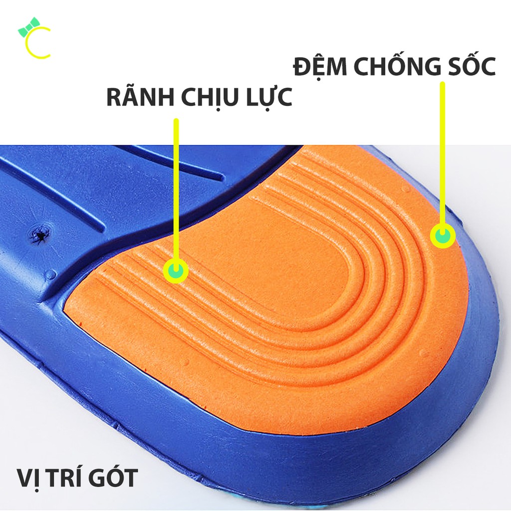 Lót giày thể thao EVA thoáng khí, êm chân và chịu lực - Đen phối xanh - Cami - CMPK155