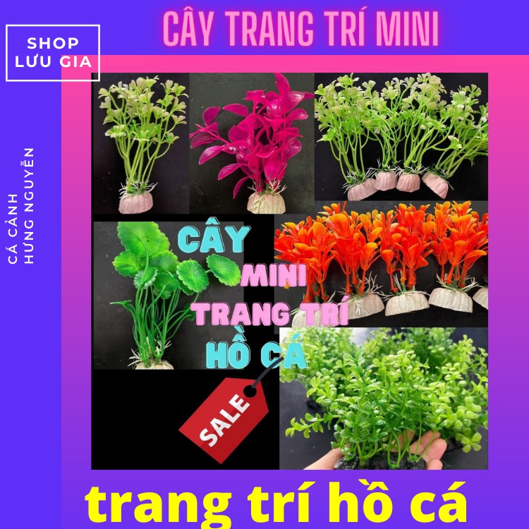 Cây cỏ nhựa size mini và to dùng trang trí hồ cá nhỏ [ ĐỦ MÀU ] | Phụ kiện cây nhựa trang trí bể cá cảnh | Lưu gia decor