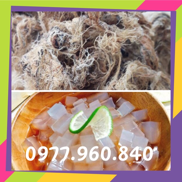 1KG RONG BIỂN RAU CÂU CHỈ VÀNG LOẠI 1 SẠCH KHÔNG TẨY QUẢNG NGÃI NẤU XU XOA | BigBuy360 - bigbuy360.vn