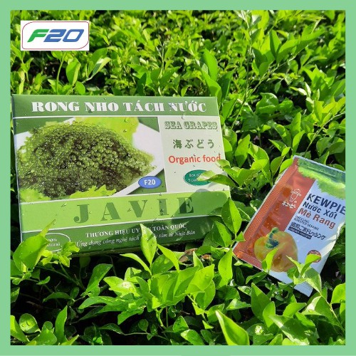 {Tặng 1 Chai Nước Chấm Mè Rang} + Hộp 120g/250g Rong Nho JAVIE - Rong Nho Tách nước - Ứng dụng công nghệ Nhật Bản