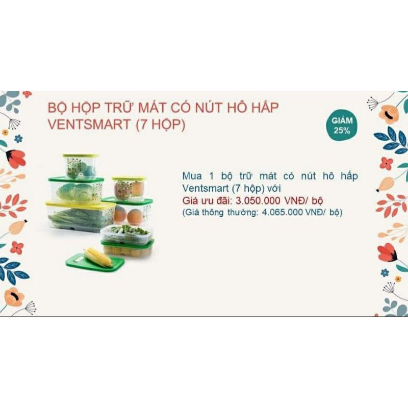 Bộ trữ mát Tupperware có nút hô hấp 7 hộp Ventsmart