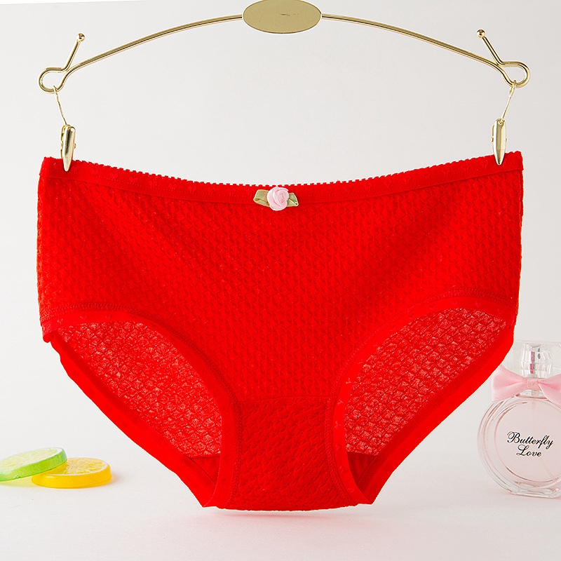 Quần Lót Cotton Nữ In Hình Tam Giác Dễ Thương | BigBuy360 - bigbuy360.vn