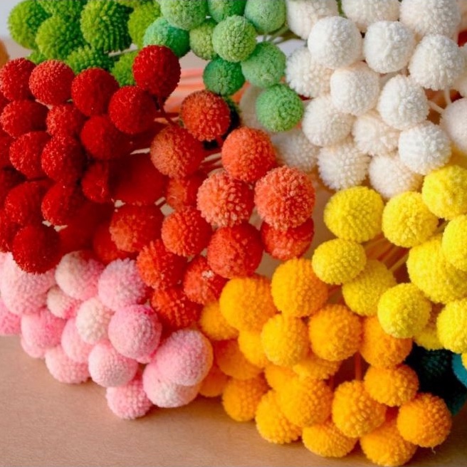 Hoa khô Billy Ball/Cúc nút áo trang trí phong cách Vintage