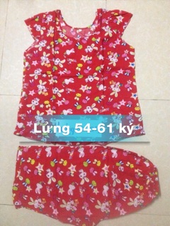 Bộ lanh lửng 54-62 ký