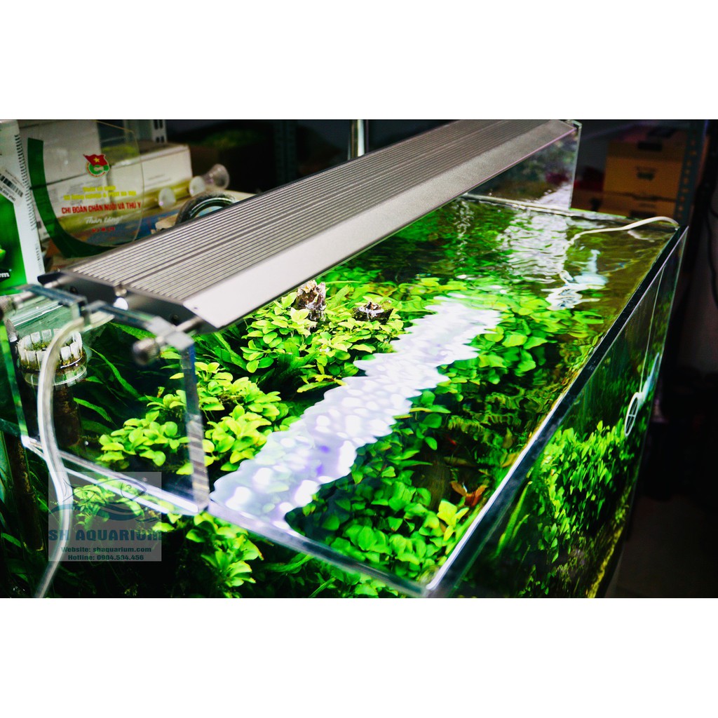 ĐÈN WEEK AQUA M900 PRO