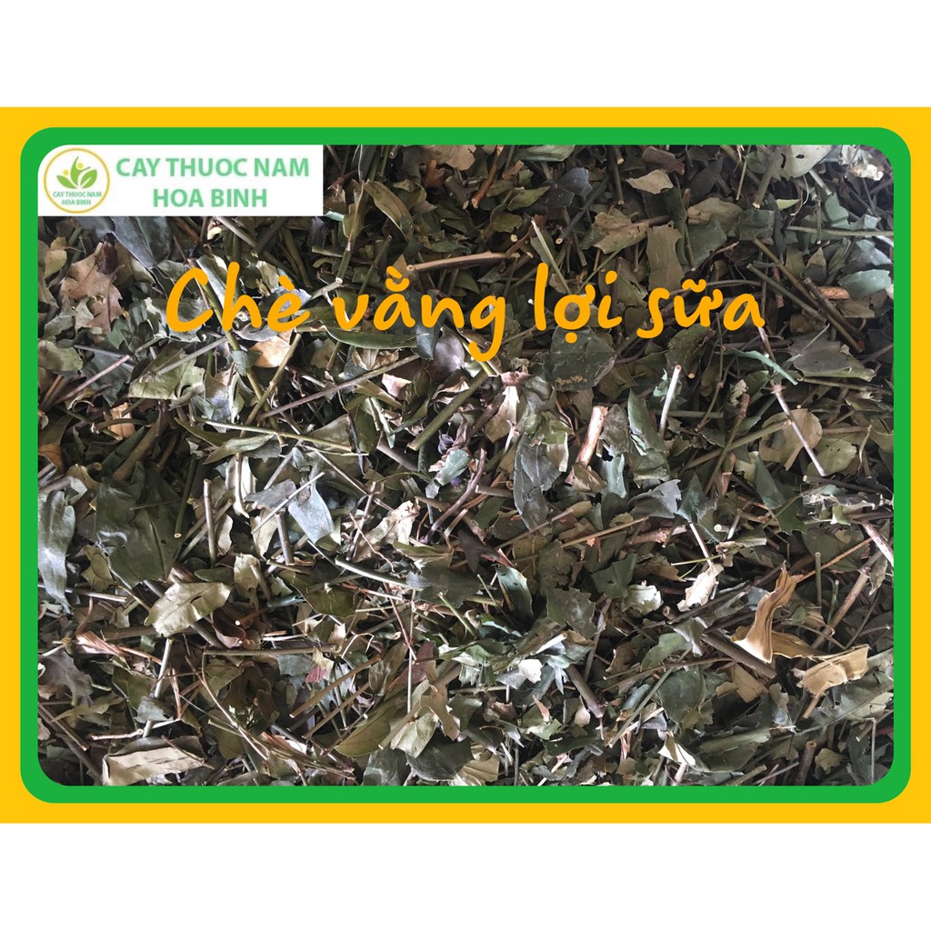 500g CHÈ VẰNG SẺ LỢI SỮA
