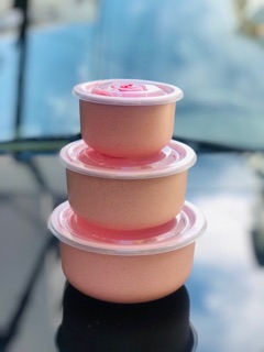Thố Nhựa Lúa Mạch Combo 3 Thố