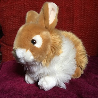 Thỏ nhồi bông.