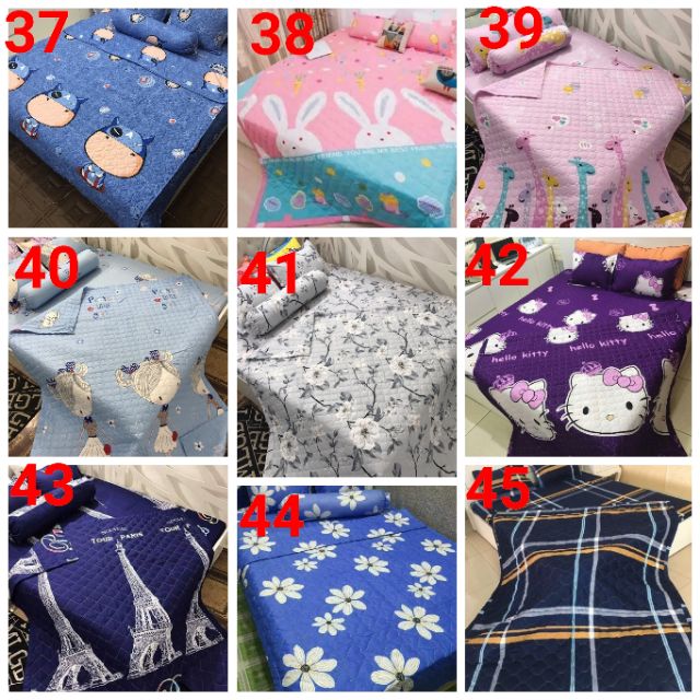 Chăn hè cotton poly . được chọn mẫu