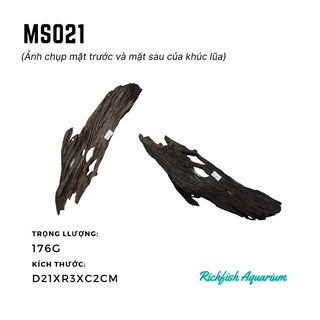 Gỗ lũa dùng setup layout bể cá cảnh thủy sinh từ 30-50cm (Ms018-Ms026)