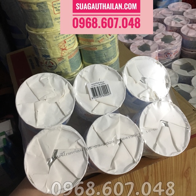 SỮA GẤU TRẮNG THÁI LAN