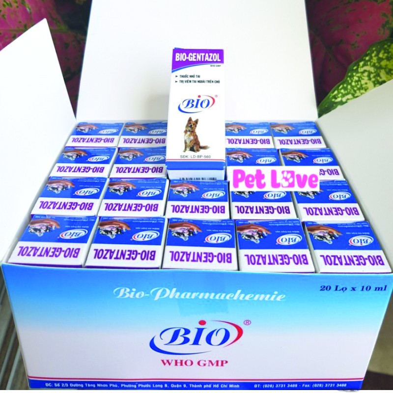 Combo 5 chai thuốc nhỏ tai Bio Gentazol 10ml chuyên trị viêm tai chó mèo- 79204