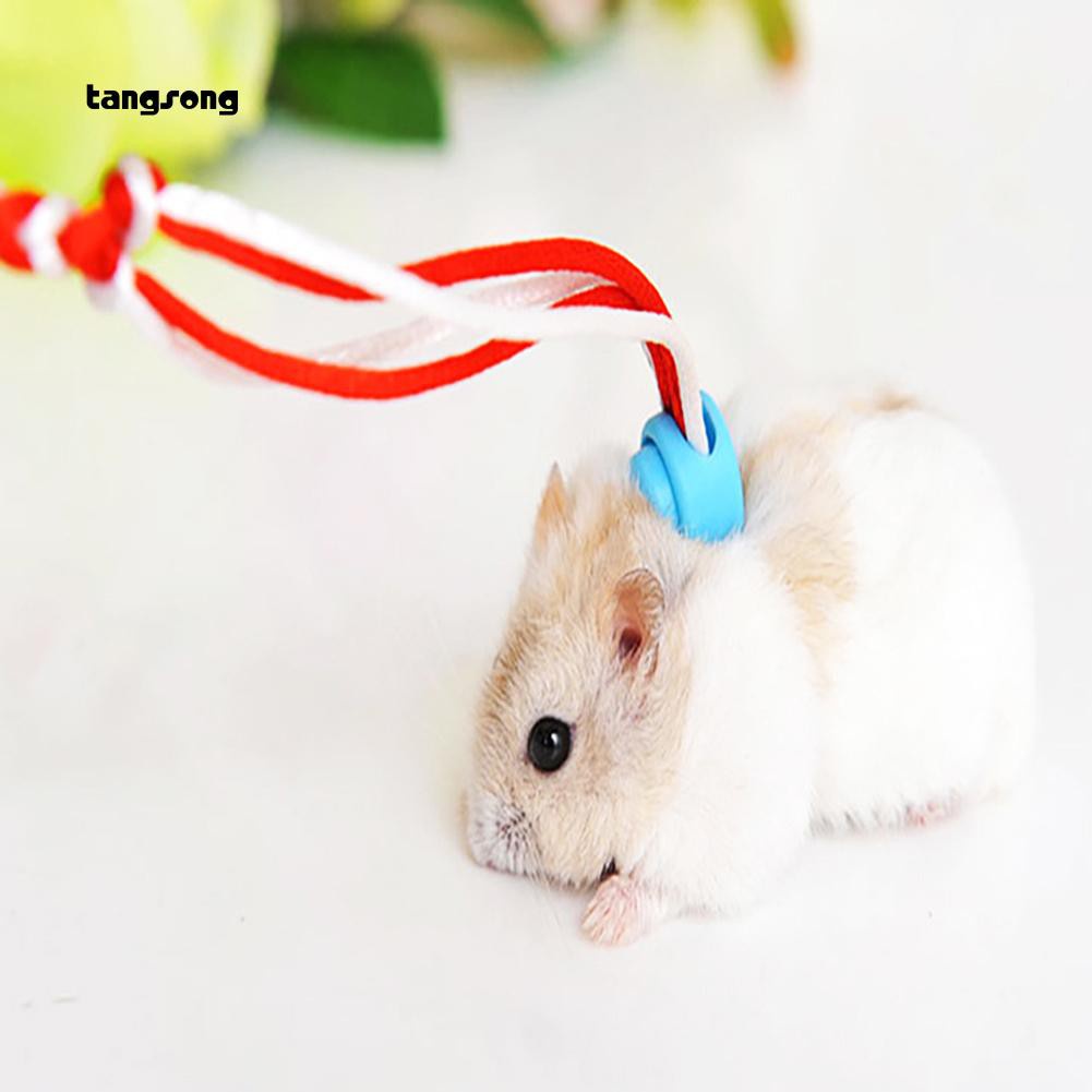 Sale 68% Dây giữ chuột hamster dài 1.4/2m dùng khi đi dạo, Random Color 1.4M Giá Gốc 23000 đ - 1K59