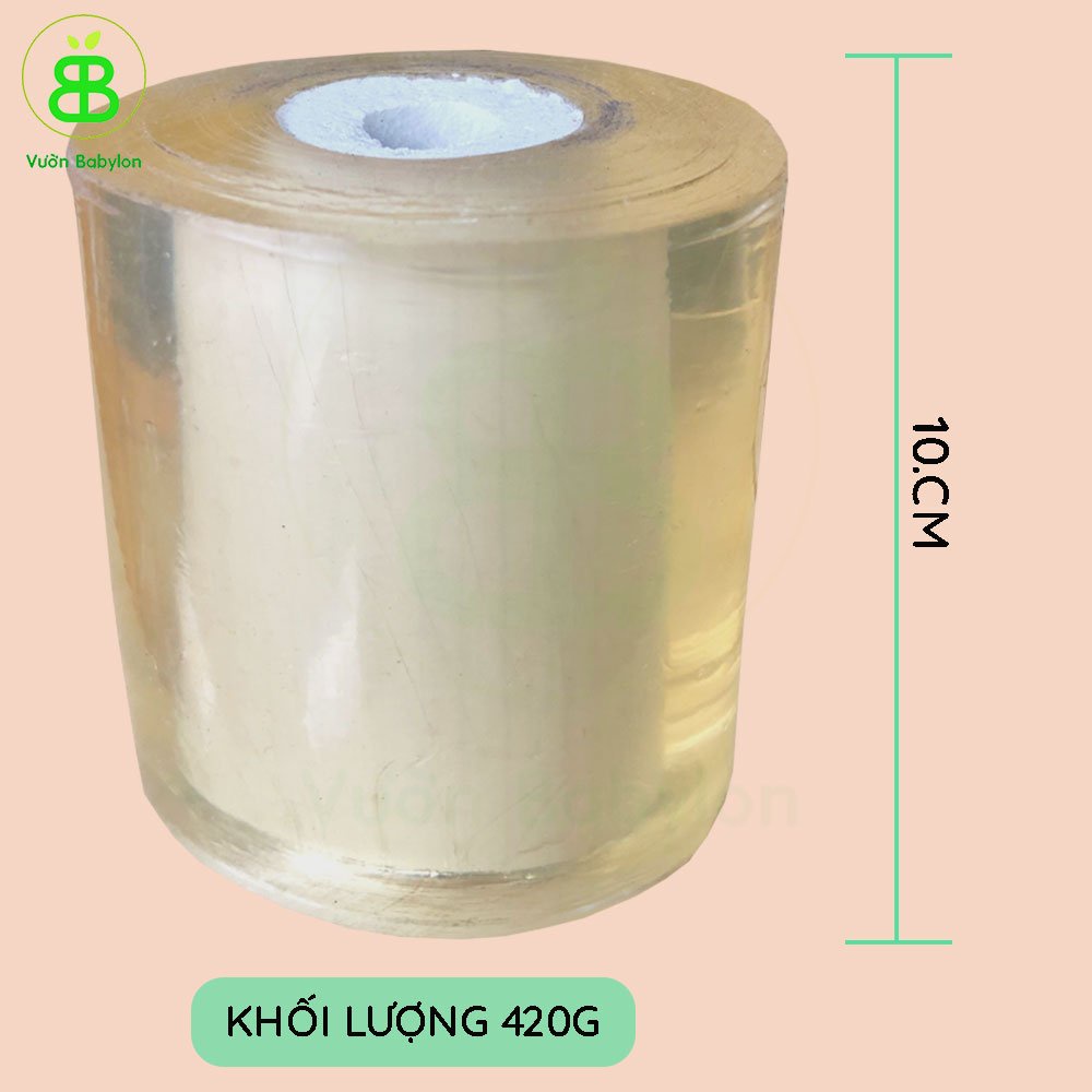 Băng Keo Ghép Cây 3cm, 6cm, 10cm Tự Dính, Băng Keo Trong, Mỏng Và Mịn