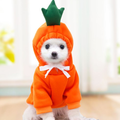 🌸 Quần Áo Chó Mèo Có Nón Cosplay Biến Hình Cho Thú Cưng