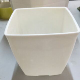 Chậu vuông 20cm