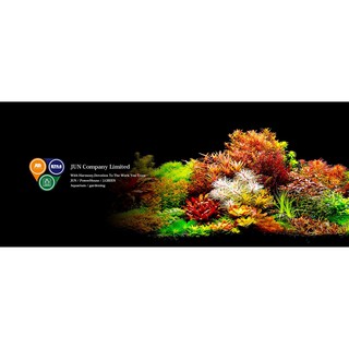 PHÂN NỀN NHẬT BẢN MASTER SOIL 3LIT