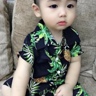 Combo sỉ bộ lanh hoa quả
