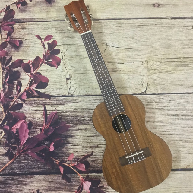 (ĐỘC) ĐÀN UKULELE CONCERT ENYA CẦN CLASSIC