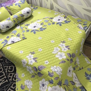 Sét chăn hè + 2 vỏ gối + ga chun