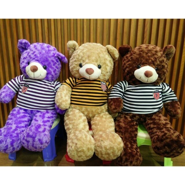 Gấu Bông Teddy khổ 1m (6 màu)