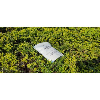 Whey Protein Isolate 90% - Sữa tăng cơ LACTOPROT