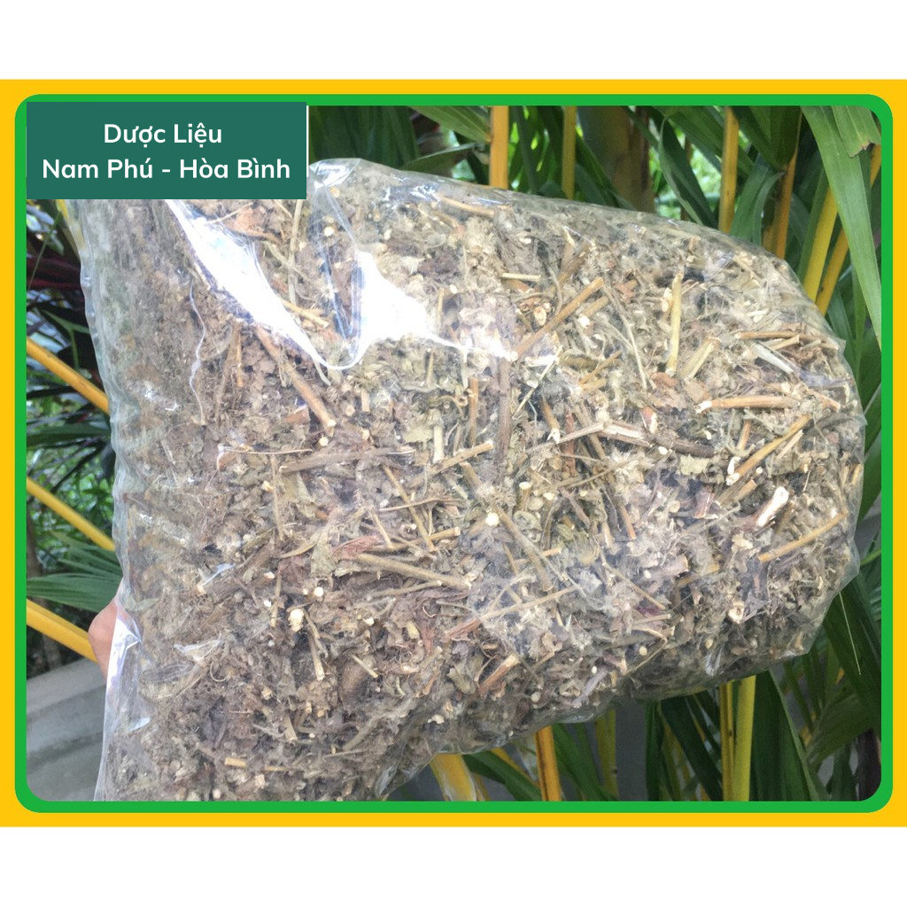 1Kg Cây Cải Trời giá SỈ giảm bướu cổ hàng tự nhiên xanh sạch mới