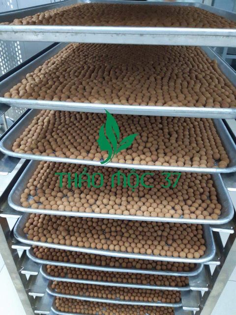 Giá lẻ bằng sỉ 2 hộp kẹo mầm lúa mạch của thảo mộc 37 | BigBuy360 - bigbuy360.vn