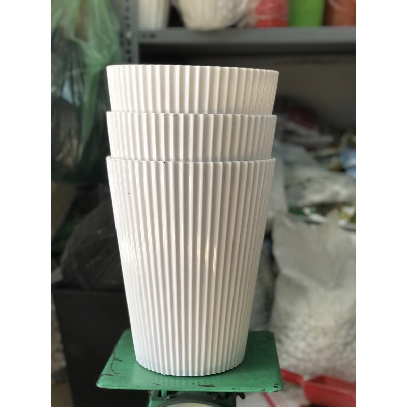 combo 3 chậu gân sọc 24cm cao 30cm