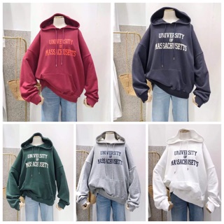 Áo hoodie nữ vải nỉ lót bông dày dặn University