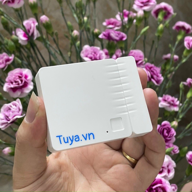 Cảm Biến Má Từ Báo Động Mở Cửa Có Loa Wifi Tuya SHP-MA8