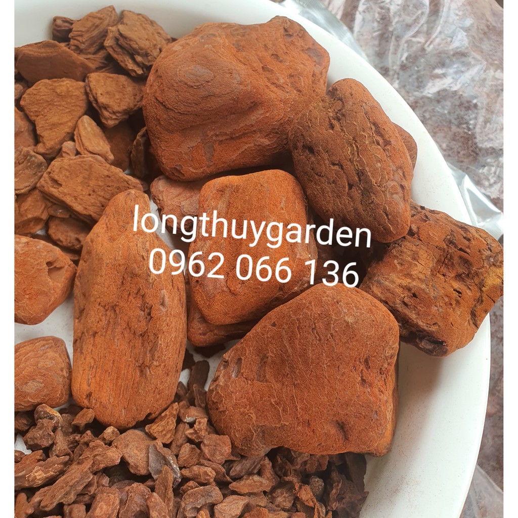 1kg vỏ thông khô mài cạnh, vỏ dày, đỏ đẹp