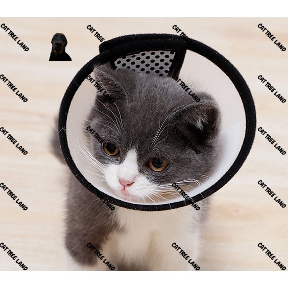 LOA ĐEO CHỐNG LIẾM CHO CHÓ MÈO - VÒNG CỔ BẢO VỆ CHÓ MÈO, CHỐNG TRẦY XƯỚC, KHÔNG THẤM NƯỚC