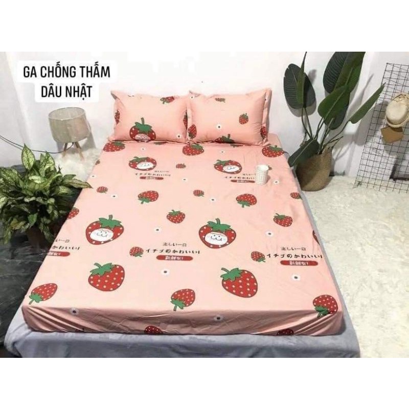 Ga Chống Thấm Chất Cotton Hoa Văn (3 Kích Cỡ)